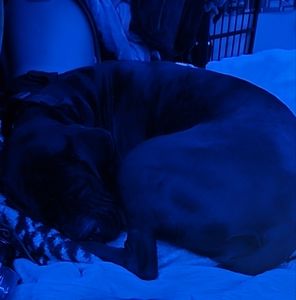 Meet your Posher, Trin